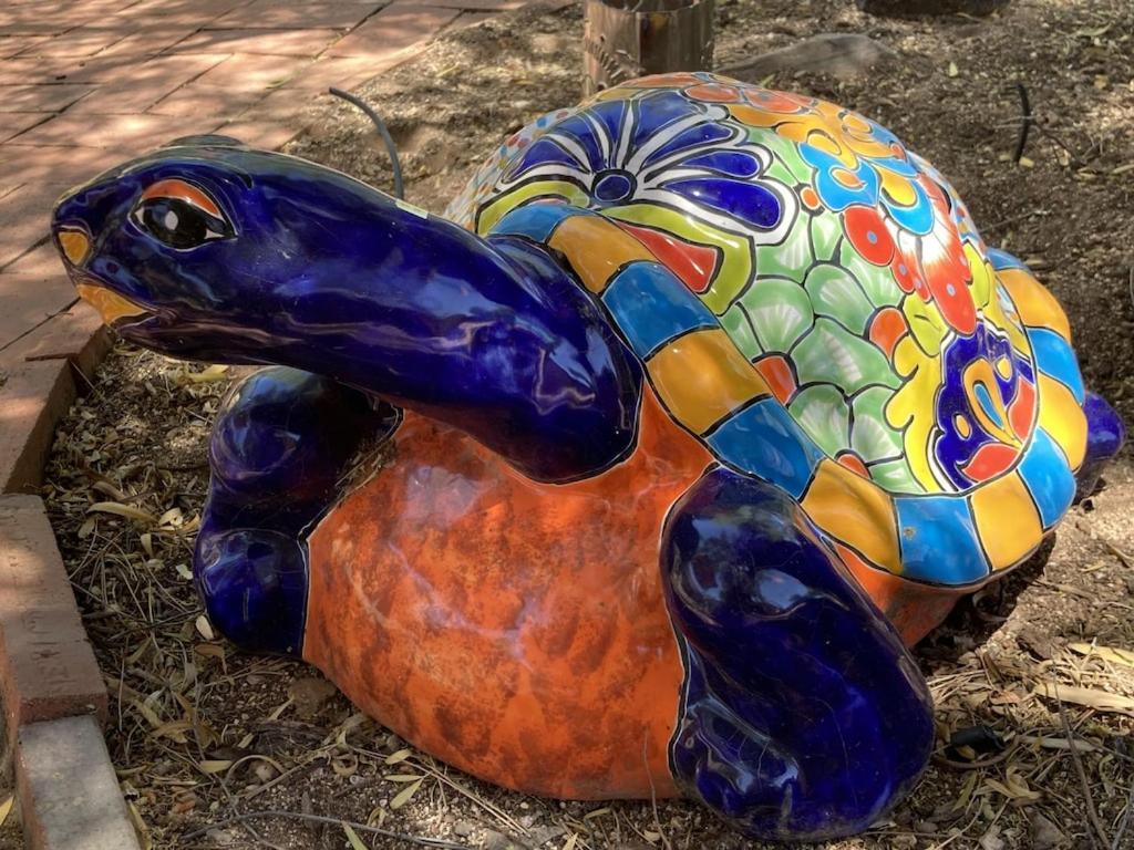 Casa Azul - Cute Centrally Located Adobe With Large Fenced Outdoor Living For Pets And Adults, Non-Smoking Tucson Luaran gambar