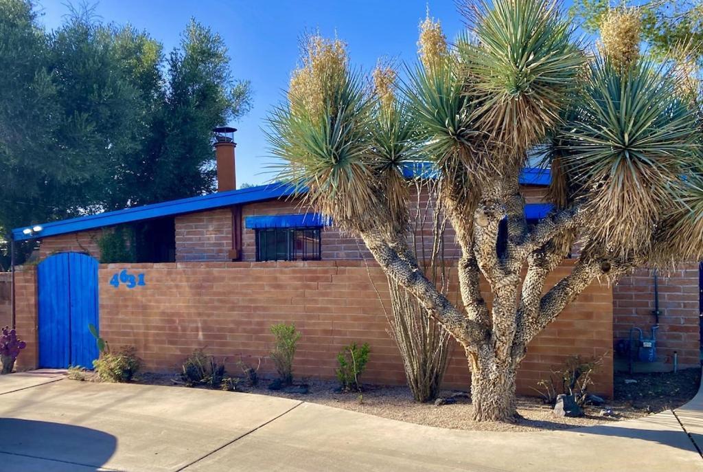 Casa Azul - Cute Centrally Located Adobe With Large Fenced Outdoor Living For Pets And Adults, Non-Smoking Tucson Luaran gambar